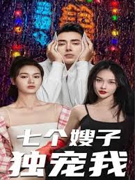 七个嫂子独宠我 