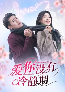 愛(ài)你沒(méi)有冷靜期