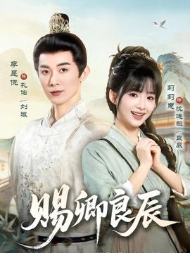 赐卿良辰海报