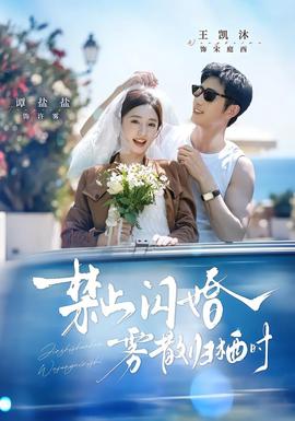 禁止闪婚,雾散归栖时