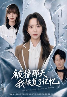 被撞那天我恢复了记忆封面