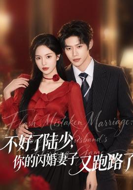 不好了陆少,你的闪婚妻子又跑路了