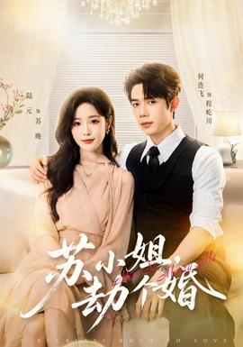 苏小姐，劫个婚