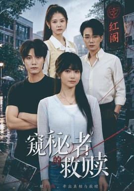 窥秘者的救赎海报
